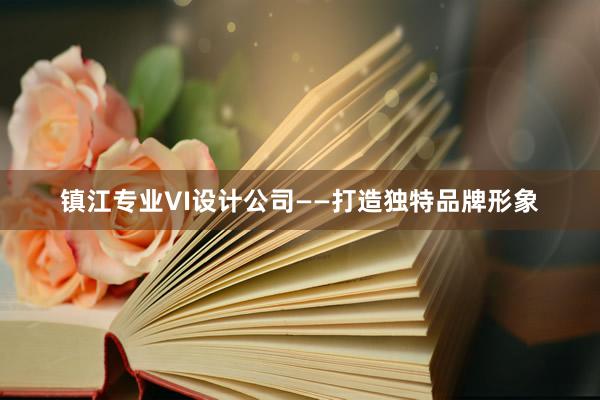 镇江专业VI设计公司——打造独特品牌形象